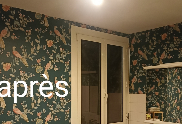 Peinture salon — Pyrénées-Orientales